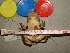  ( - RACAT-CMNAR 32050)  @11 [ ] Unspecified (default): All Rights Reserved  Unspecified Unspecified