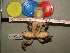  ( - RACAT-CMNAR 32240-02)  @11 [ ] Unspecified (default): All Rights Reserved  Unspecified Unspecified