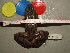 (Rana pipiens - RAPIP-CMNAR 30522)  @13 [ ] Unspecified (default): All Rights Reserved  Unspecified Unspecified