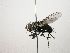  ( - Haber 000188)  @14 [ ] Unspecified (default): All Rights Reserved  Unspecified Unspecified