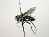  ( - Haber 000287)  @13 [ ] Unspecified (default): All Rights Reserved  Unspecified Unspecified