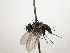  ( - Haber 000333)  @13 [ ] Unspecified (default): All Rights Reserved  Unspecified Unspecified