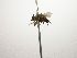  ( - Haber 000410)  @14 [ ] Unspecified (default): All Rights Reserved  Unspecified Unspecified