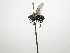  ( - Haber 000426)  @12 [ ] Unspecified (default): All Rights Reserved  Unspecified Unspecified