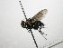  (Lixophaga Janzen6680 - INB0003361391)  @14 [ ] Unspecified (default): All Rights Reserved  Unspecified Unspecified