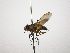  (Crocinosoma - INB0003551161)  @13 [ ] Unspecified (default): All Rights Reserved  Unspecified Unspecified