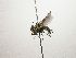  ( - Haber 000590)  @12 [ ] Unspecified (default): All Rights Reserved  Unspecified Unspecified