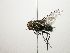  ( - Haber 000639)  @13 [ ] Unspecified (default): All Rights Reserved  Unspecified Unspecified