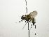  ( - Haber 000769)  @14 [ ] Unspecified (default): All Rights Reserved  Unspecified Unspecified