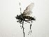  ( - Haber 000773)  @13 [ ] Unspecified (default): All Rights Reserved  Unspecified Unspecified