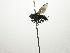  ( - Haber 000776)  @13 [ ] Unspecified (default): All Rights Reserved  Unspecified Unspecified