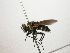  (Lixophaga Janzen1053 - INB0003044390)  @13 [ ] Unspecified (default): All Rights Reserved  Unspecified Unspecified
