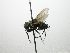  (Lixophaga Janzen1057 - INB0003050258)  @14 [ ] Unspecified (default): All Rights Reserved  Unspecified Unspecified
