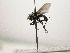  (Lixophaga CR 65 - INB0003081335)  @11 [ ] Unspecified (default): All Rights Reserved  Unspecified Unspecified