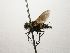  (Lixophaga CR 28 - INB0003095176)  @11 [ ] Unspecified (default): All Rights Reserved  Unspecified Unspecified