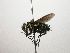  (Lixophaga Malaise1574 - INB0003131791)  @14 [ ] Unspecified (default): All Rights Reserved  Unspecified Unspecified
