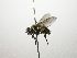  (Lixophaga Janzen9094 - INB0003143760)  @13 [ ] Unspecified (default): All Rights Reserved  Unspecified Unspecified