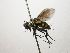  (Lixophaga CR 57 - INB0003148608)  @11 [ ] Unspecified (default): All Rights Reserved  Unspecified Unspecified