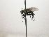  (Lixophaga Janzen1055 - INB0003174555)  @14 [ ] Unspecified (default): All Rights Reserved  Unspecified Unspecified