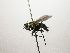  (Lixophaga Janzen1066 - INB0003311146)  @12 [ ] Unspecified (default): All Rights Reserved  Unspecified Unspecified