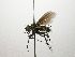  (Lixophaga Janzen6678 - INB0003321795)  @14 [ ] Unspecified (default): All Rights Reserved  Unspecified Unspecified