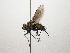  (Lixophaga CR 29 - INB0003321885)  @11 [ ] Unspecified (default): All Rights Reserved  Unspecified Unspecified
