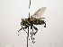  (Lixophaga CR 31 - INB0003330582)  @11 [ ] Unspecified (default): All Rights Reserved  Unspecified Unspecified