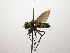  (Lixophaga Janzen2236 - INB0003346767)  @14 [ ] Unspecified (default): All Rights Reserved  Unspecified Unspecified