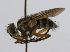  ( - INBIOCRI000687849)  @11 [ ] Unspecified (default): All Rights Reserved  Unspecified Unspecified