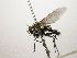  (Lixophaga CR 50 - INBIOCRI001712034)  @11 [ ] Unspecified (default): All Rights Reserved  Unspecified Unspecified