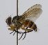  ( - INBIOCRI001884085)  @13 [ ] Unspecified (default): All Rights Reserved  Unspecified Unspecified
