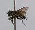  (Italispidea CR 90 - INBIOCRI001888101)  @11 [ ] Unspecified (default): All Rights Reserved  Unspecified Unspecified