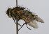  (Wood42 - INBIOCRI001953880)  @12 [ ] Unspecified (default): All Rights Reserved  Unspecified Unspecified