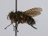  (Anisia CR 20 - INBIOCRI002001553)  @11 [ ] Unspecified (default): All Rights Reserved  Unspecified Unspecified