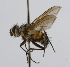  ( - INBIOCRI002049360)  @11 [ ] Unspecified (default): All Rights Reserved  Unspecified Unspecified