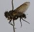  ( - INBIOCRI002327286)  @14 [ ] Unspecified (default): All Rights Reserved  Unspecified Unspecified