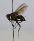  ( - INBIOCRI002412945)  @12 [ ] Unspecified (default): All Rights Reserved  Unspecified Unspecified