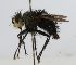  (Epalpus sp. 3B - INBIOCRI002414905)  @11 [ ] Unspecified (default): All Rights Reserved  Unspecified Unspecified