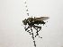  (Lixophaga CR 71 - INBIOCRI002428009)  @11 [ ] Unspecified (default): All Rights Reserved  Unspecified Unspecified