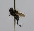  (Italispidea CR 89 - INBIOCRI002434170)  @11 [ ] Unspecified (default): All Rights Reserved  Unspecified Unspecified