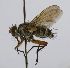  (Anisia CR 19.1 - INBIOCRI002546708)  @11 [ ] Unspecified (default): All Rights Reserved  Unspecified Unspecified
