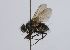  ( - INBIOCRI002552241)  @13 [ ] Unspecified (default): All Rights Reserved  Unspecified Unspecified