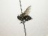  ( - INBIOCRI002568532)  @11 [ ] Unspecified (default): All Rights Reserved  Unspecified Unspecified