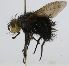  ( - INBIOCRI002601142)  @13 [ ] Unspecified (default): All Rights Reserved  Unspecified Unspecified