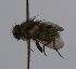  (Anisia CR 21 - inb0003312413)  @11 [ ] Unspecified (default): All Rights Reserved  Unspecified Unspecified