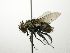  ( - INBIOCRI001210401)  @15 [ ] Unspecified (default): All Rights Reserved  Unspecified Unspecified