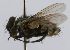  ( - INBIOCRI001215533)  @12 [ ] Unspecified (default): All Rights Reserved  Unspecified Unspecified