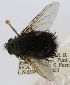  ( - INBIOCRI001367727)  @12 [ ] Unspecified (default): All Rights Reserved  Unspecified Unspecified