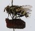  ( - INBIOCRI001405211)  @13 [ ] Unspecified (default): All Rights Reserved  Unspecified Unspecified