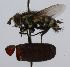  ( - INBIOCRI001405214)  @13 [ ] Unspecified (default): All Rights Reserved  Unspecified Unspecified